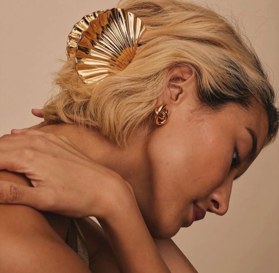 DIDELIS PLAUKŲ SEGTUKAS MOON