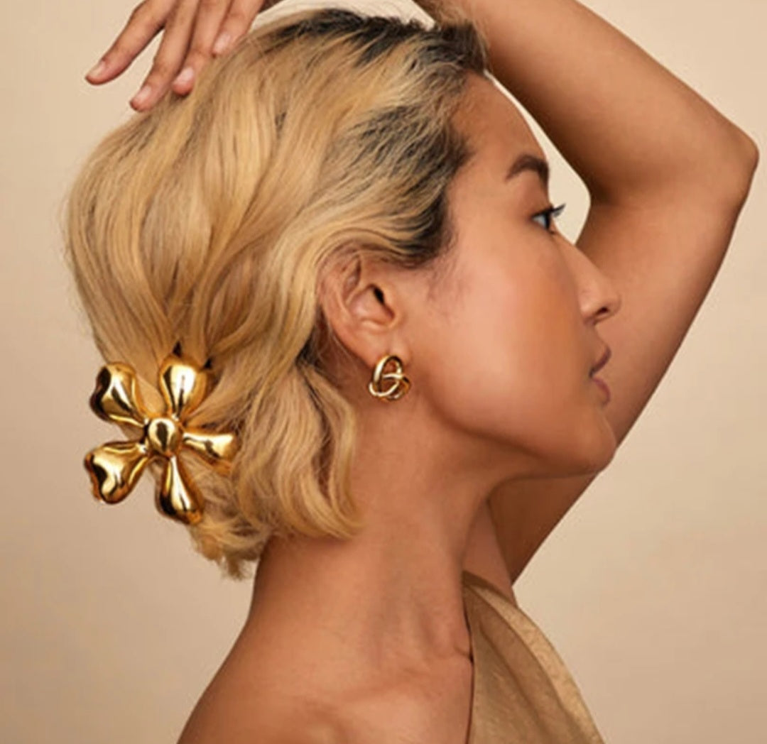 PLAUKŲ SEGTUKAS LILA